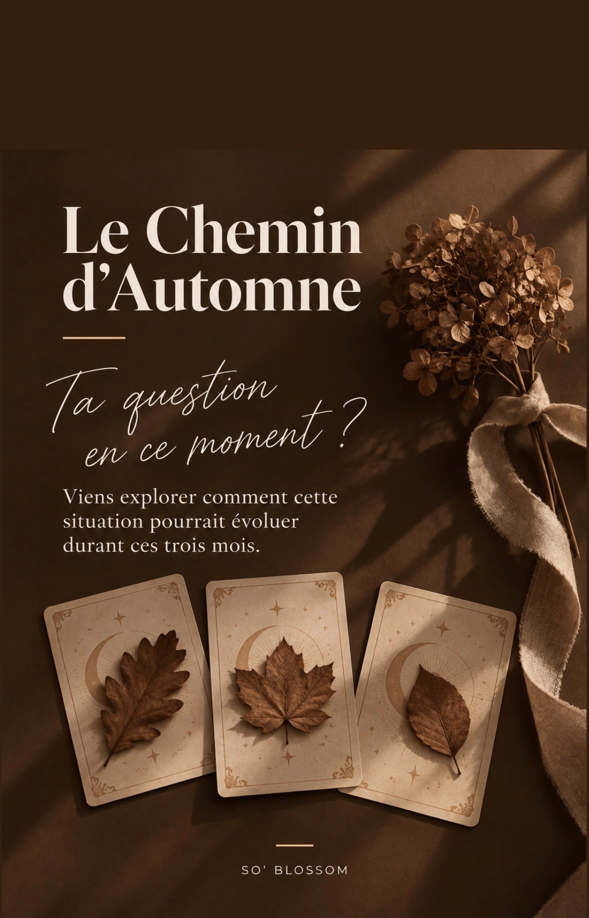 Ta question en ce moment | Le chemin d’automne 🤎